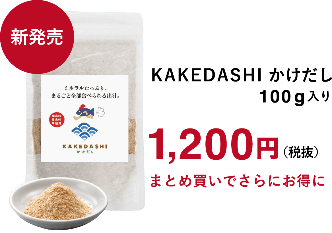 KAKEDASHI かけだし100g入り