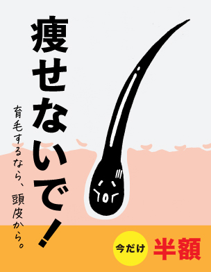 【期間限定】金樹プレミアム